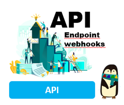 api.PNG