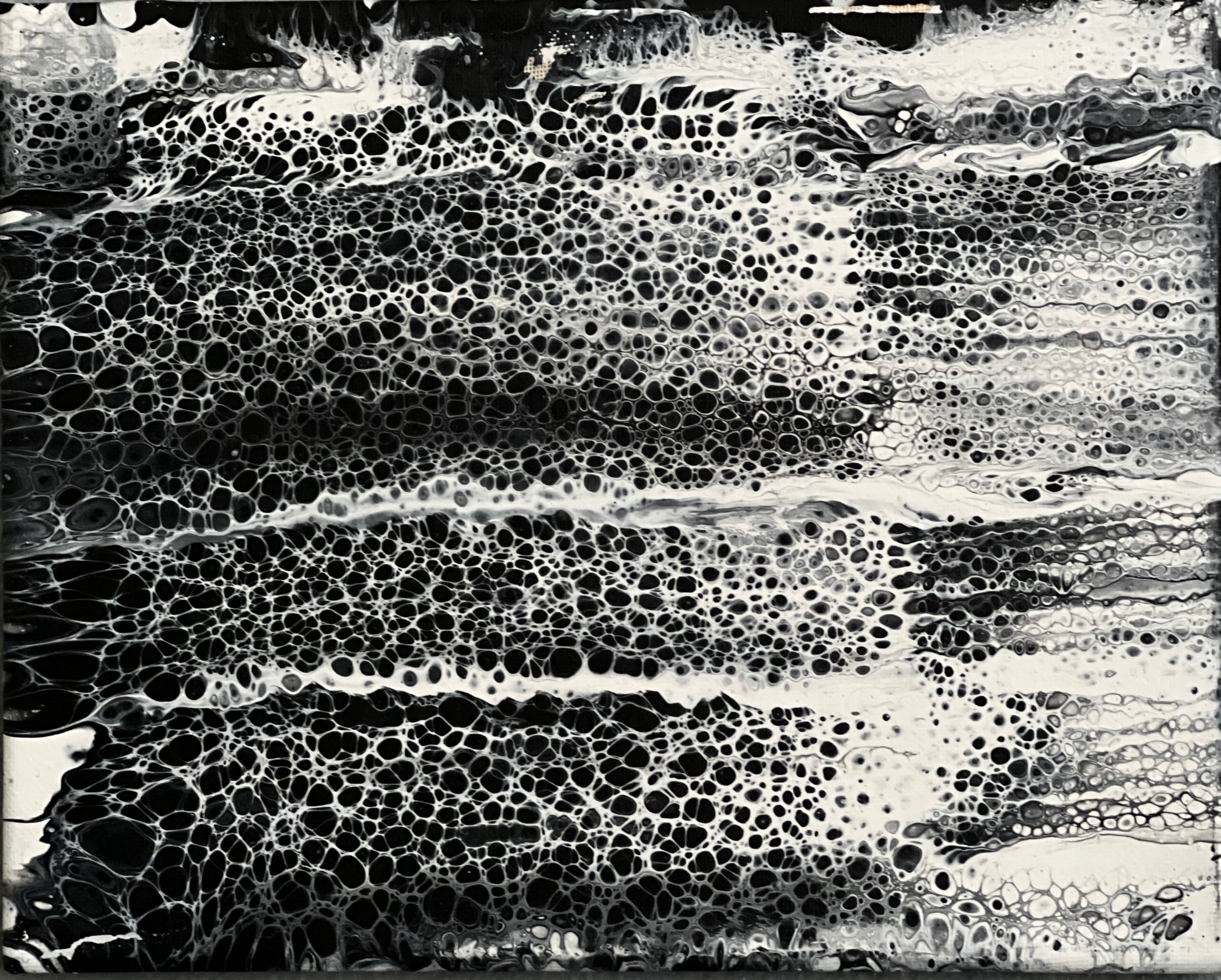 8 x 10 acrylic blk and wht topcoat