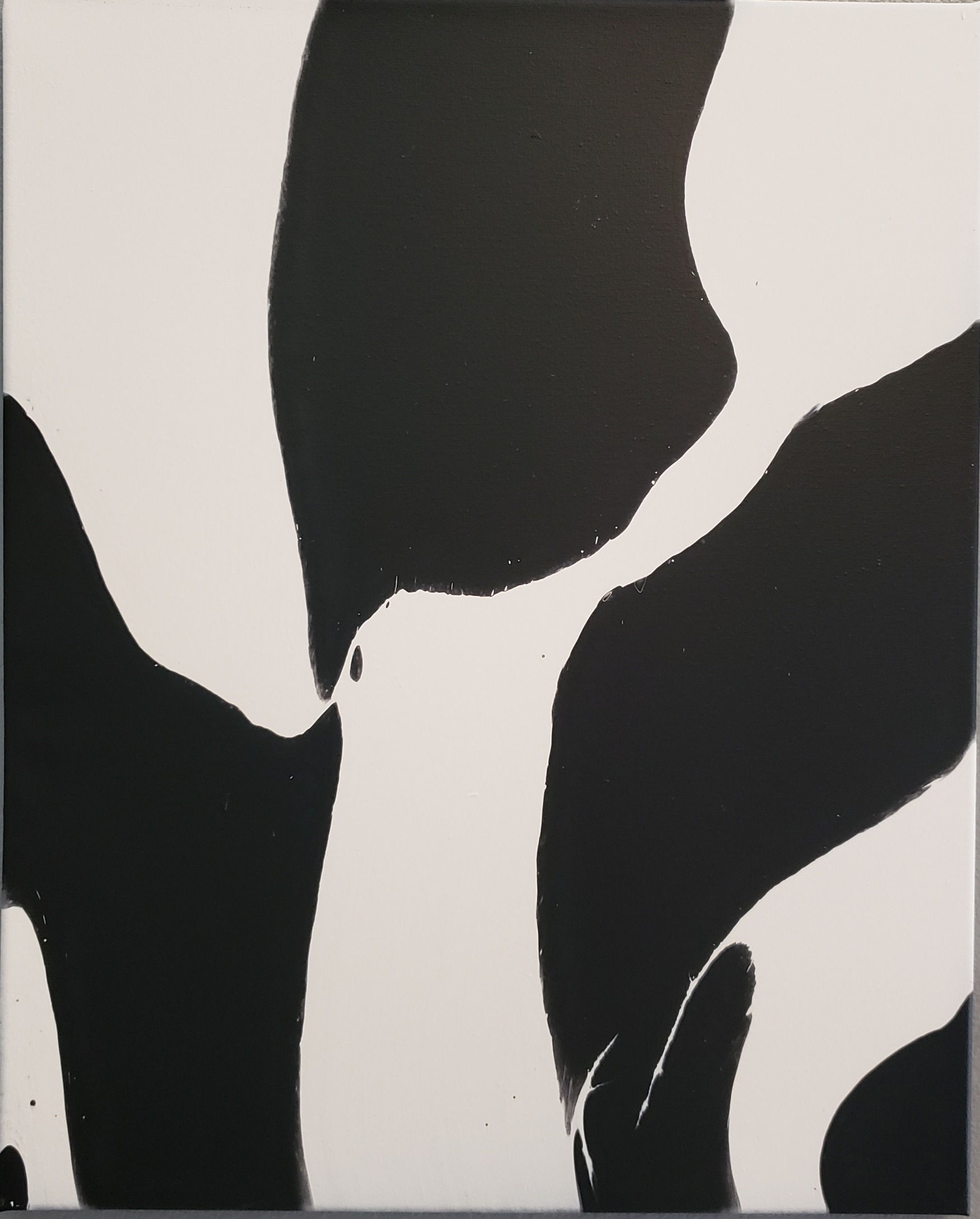 16 x 20 acrylic blk and wht painting