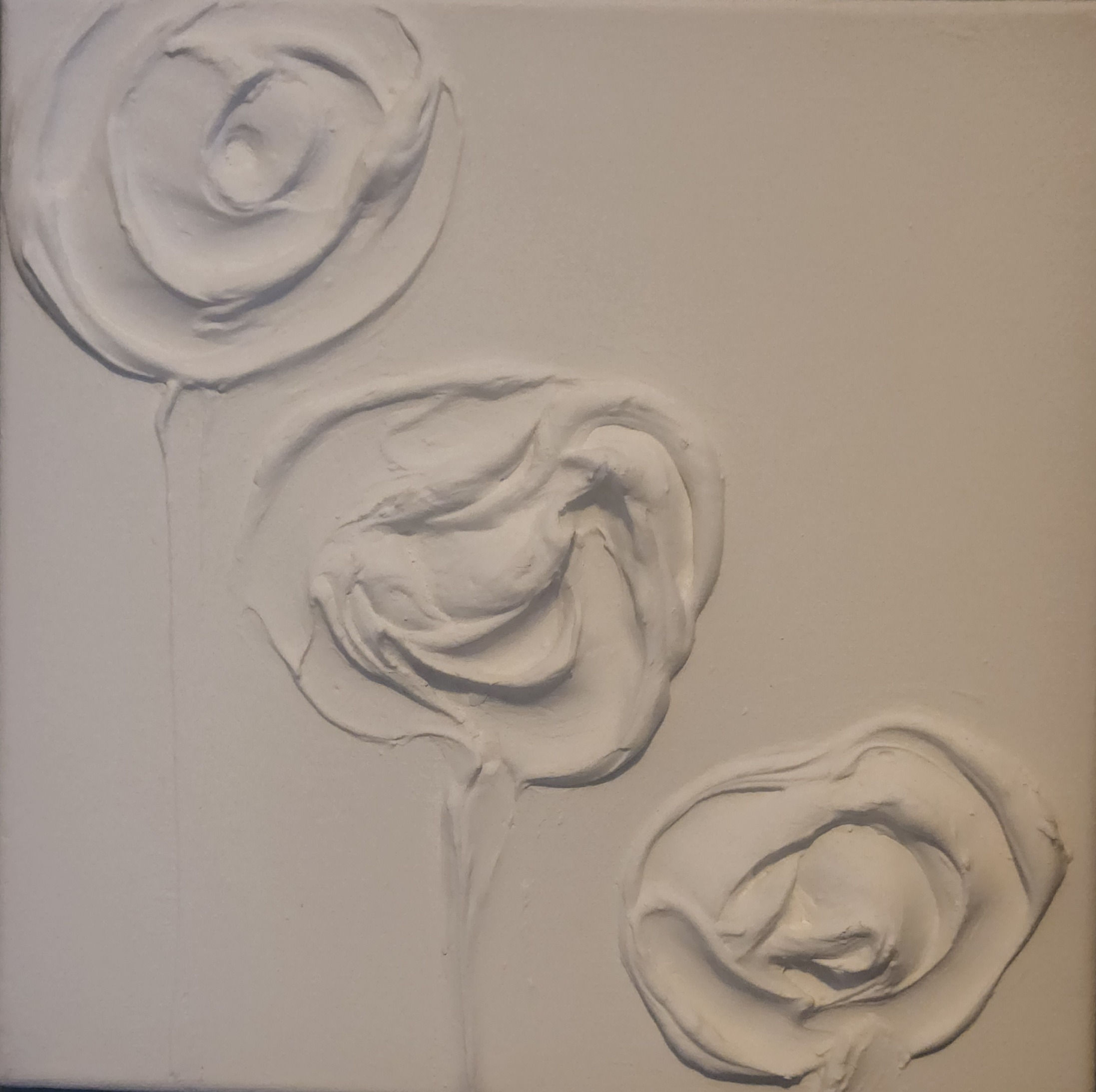 10 x 10 canvas white carved picture matte finish