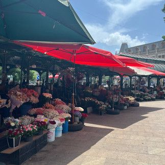 Flower Market in Tbilisi Georgia