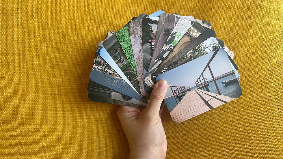 תמונה ממוזערת: חתול שחור