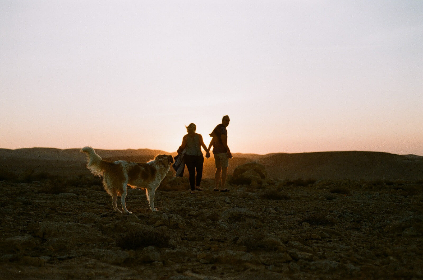 דמויות בשקיעה