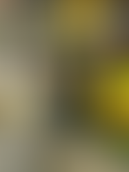 Worker utilising RS6100 Ring Scanner in a warehouse environment on a forklift, with a mobile computer on their other arm. 