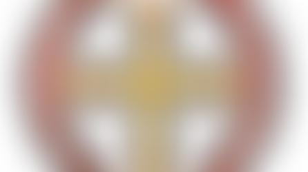 Metropolis Pioneer Program