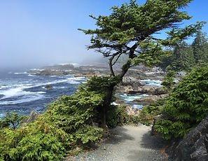 IMG_2062.JPG