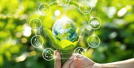 sustainability-blog6-e1713807272602.jpg