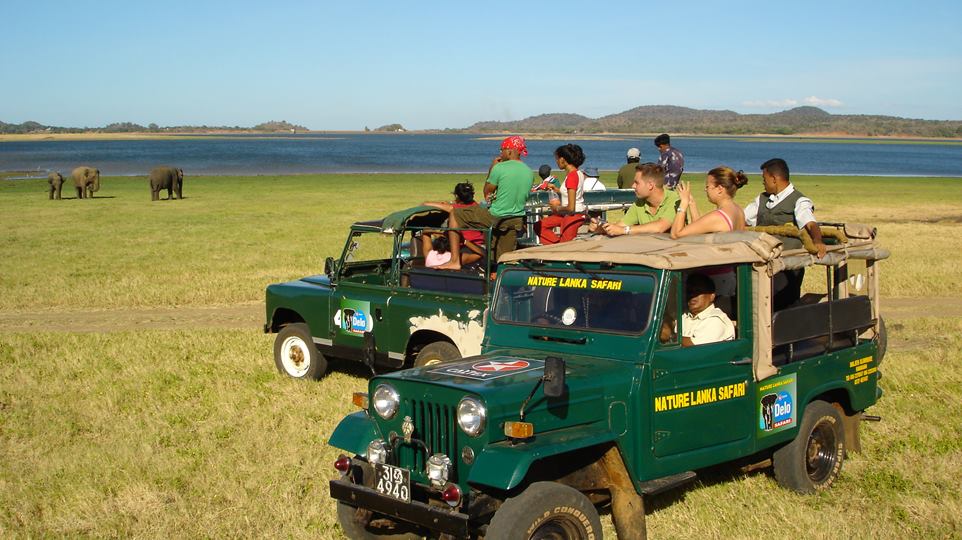 Yala National Park (one day)