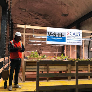 DIE GRÜNE: UNDERGROUND FARMING