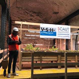 DIE GRÜNE: UNDERGROUND FARMING