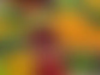 Desbloqueando o poder da nutrição personalizada: um roteiro para fortalecer o autocuidado por meio de uma alimentação saudável