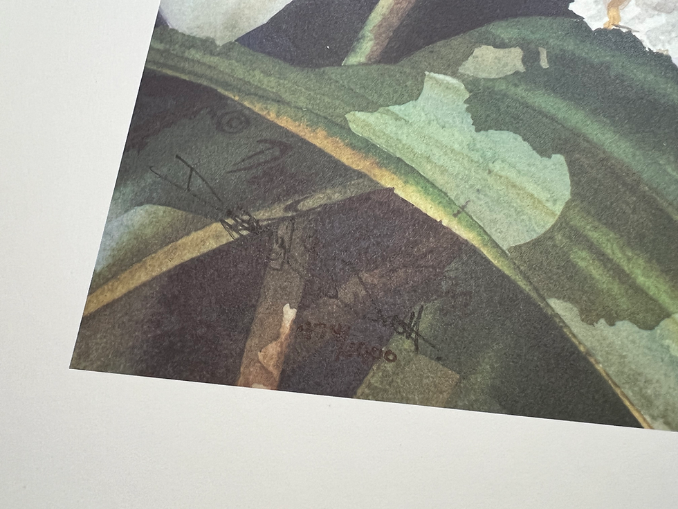 Thumbnail: Darryl Trott: Orchids II Print | 474/1000 | Mint Never Framed