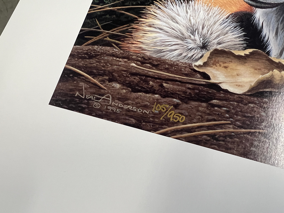 Thumbnail: Neal R. Anderson: Cozy Retreat - Red Fox Print | 105/950 | Near Mint Never Frame