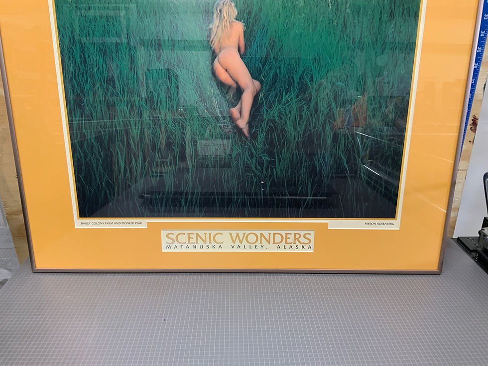 Thumbnail: Framed Vintage Myron Rosenberg “Scenic Wonders” Alaska Poster