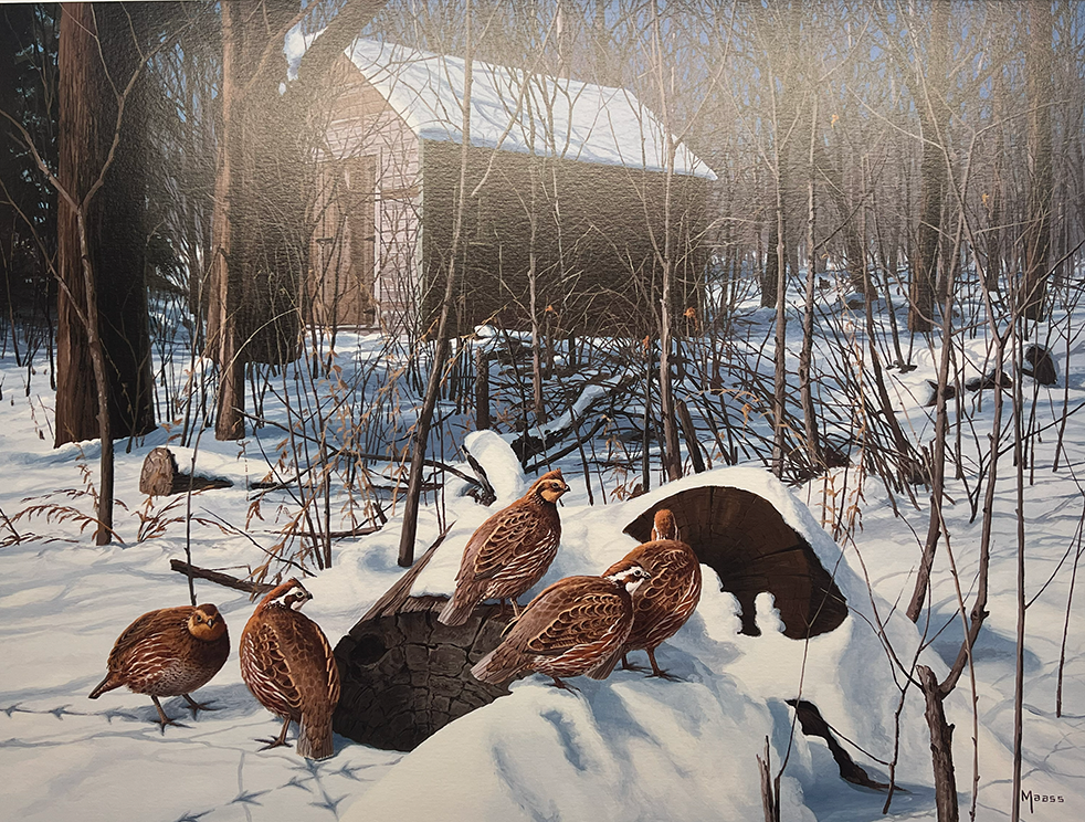 David A. Maass: Winter Shelter - Bobwhite Print | 583/950 | Mint Never Framed