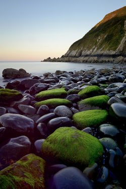 Pors pin , Plouezec , et ses jolis galets