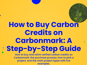 How to Buy Carbon Credits on Carbonmark: A Step-by-Step Guide