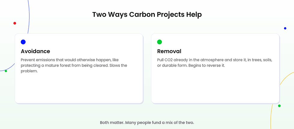 Two ways carbon projects help: avoidance and removal