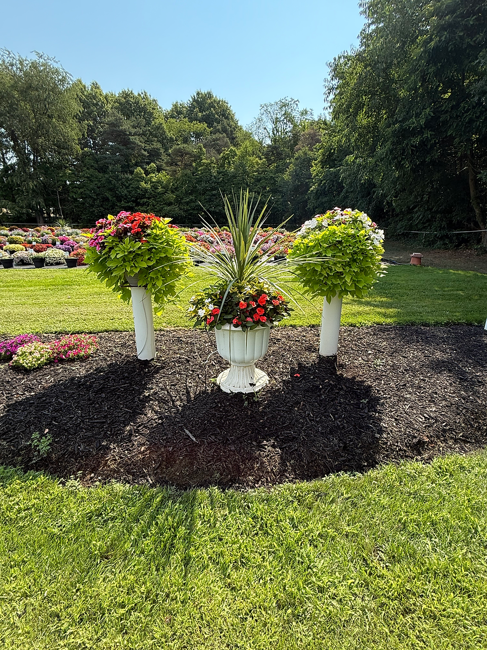 Pell Greenhouse, Hudsonville, MI 2025