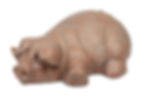 Athens Laydown Pig