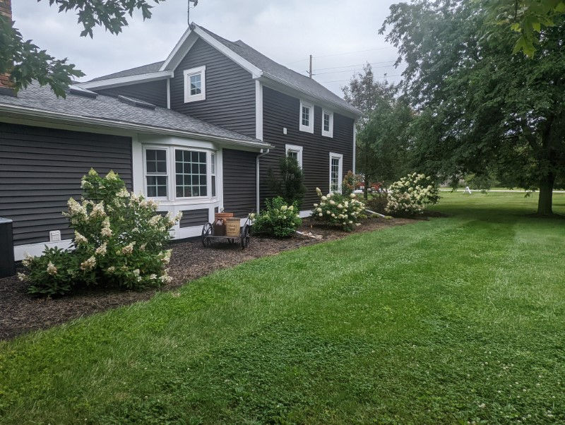 Sue (Head of the Wolf Pack Leader) 2022