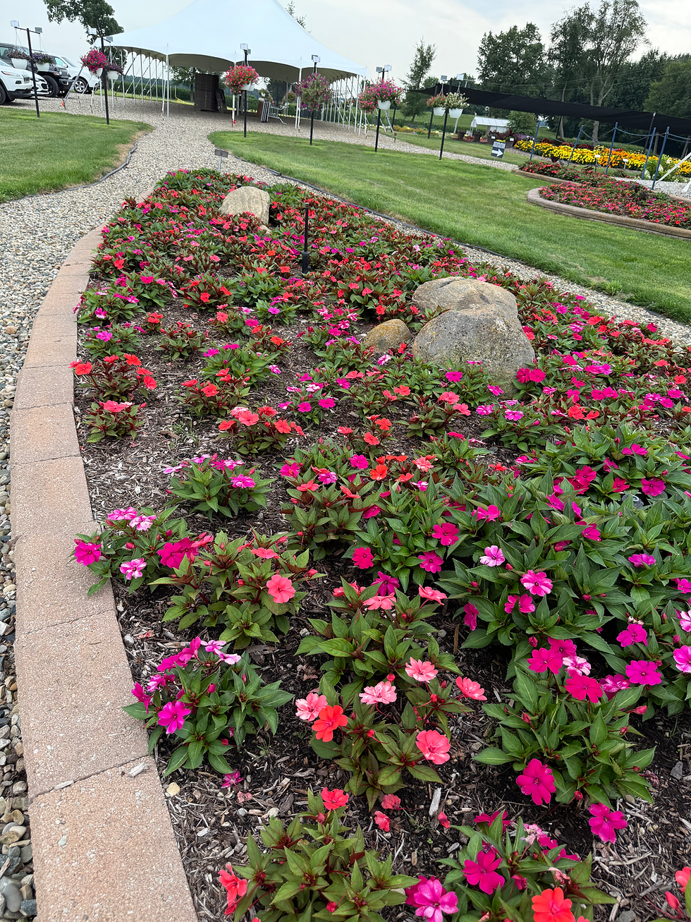 Rakers, Litchfield, MI 2025