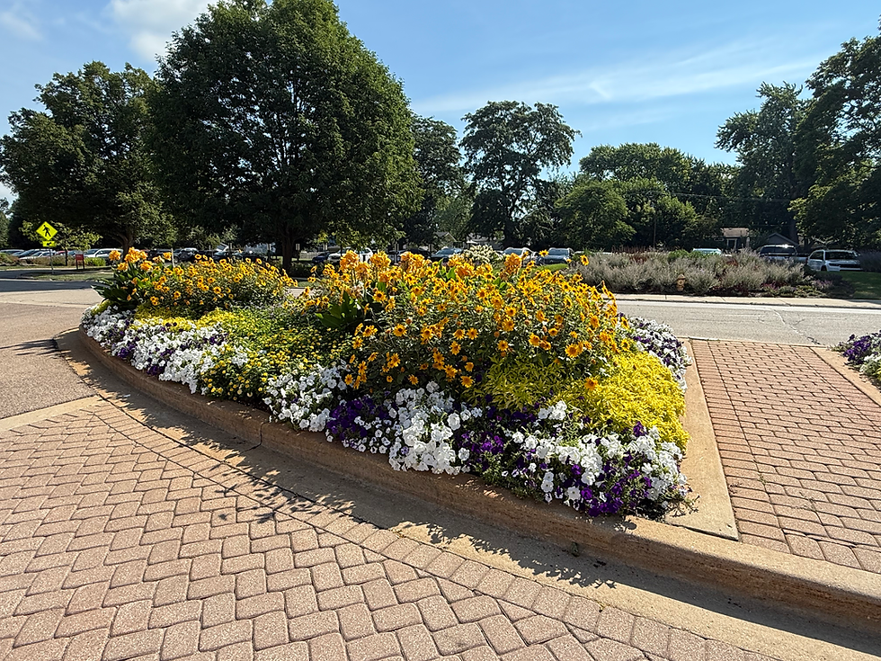 Ball Gardens, Chicago, IL 2025