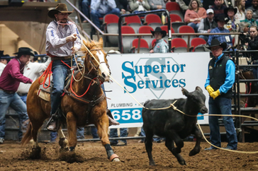 ff453184-a2d8-4645-a9bf-c706d9d74195-0201_rodeo_25.webp