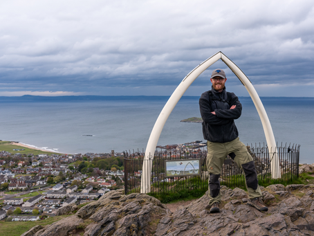 Whale bones on the Law