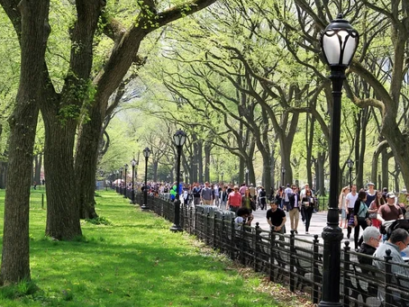 How to Explore Central Park Like a True New Yorker