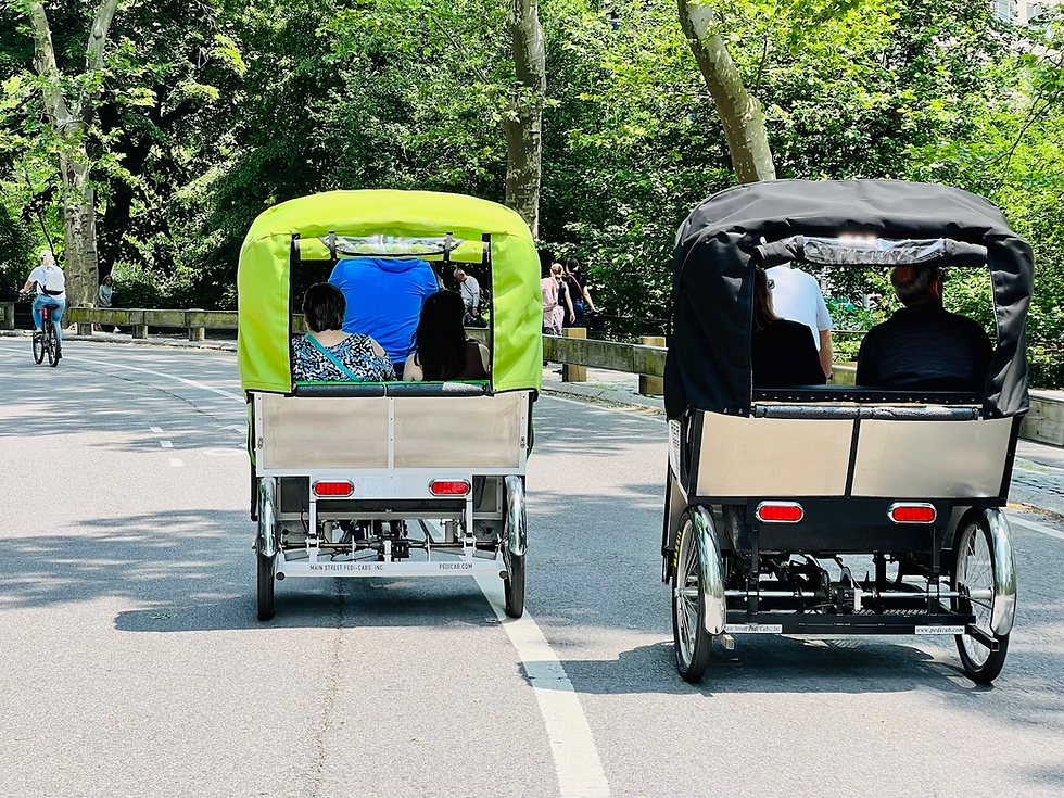 Central_park_rides_by_rickshaw
