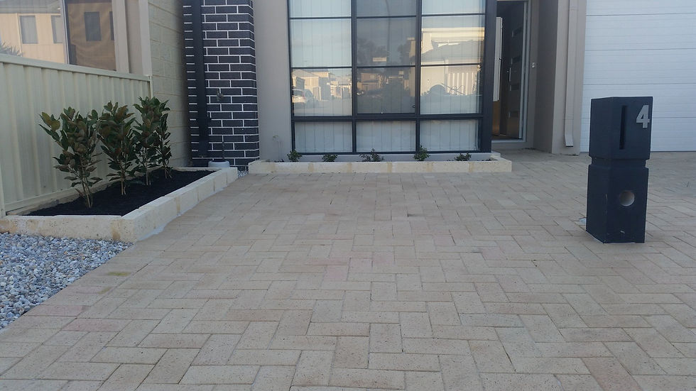 Front yard revamp