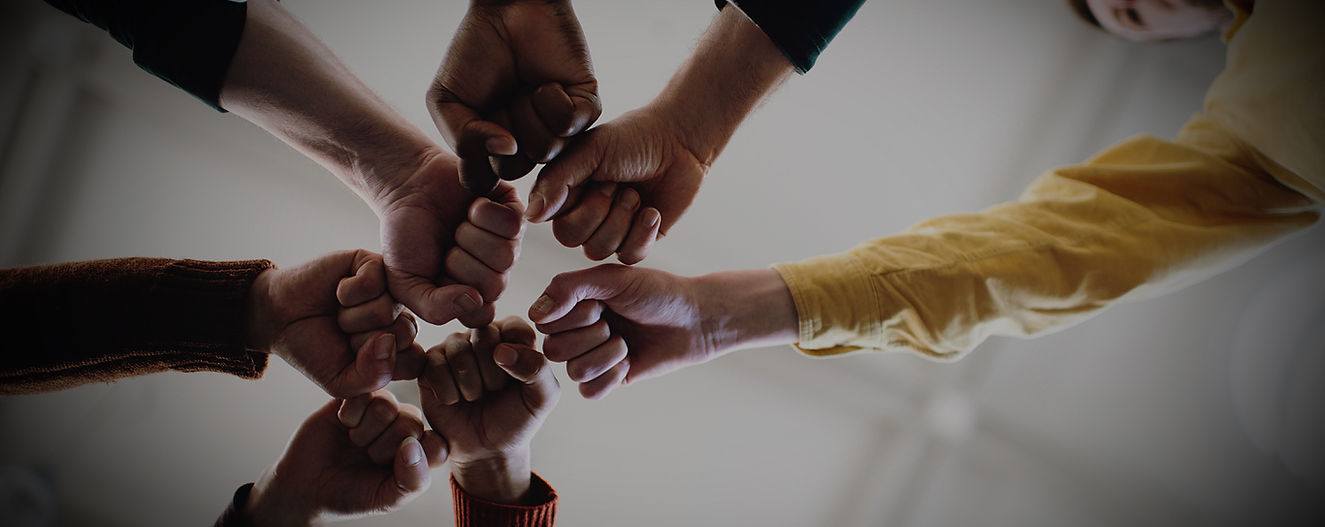 Fists in Solidarity_edited.jpg