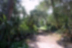 Beautifull nature