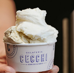 coppetta gelato Cecchi Torino