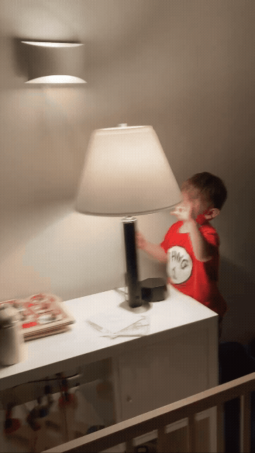 JES lamp durability — field tested by family