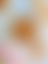 Graham Cracker Granola