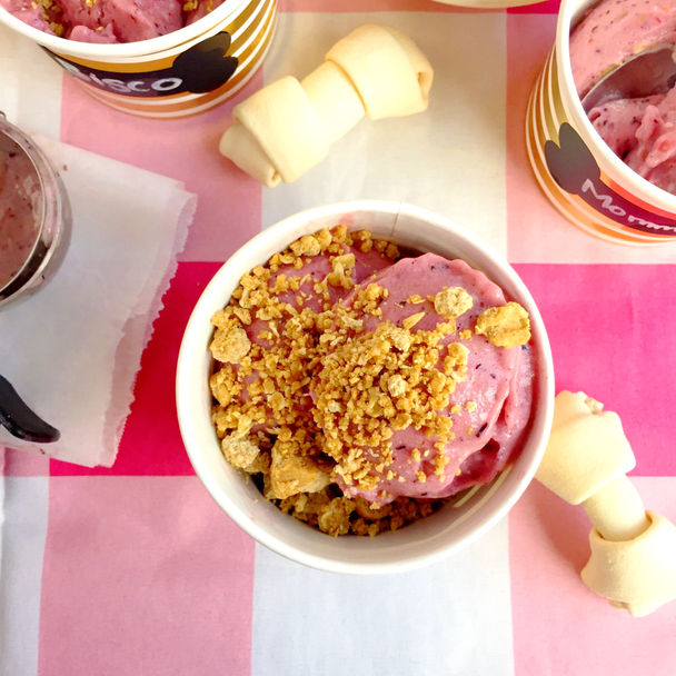 Mixed Berry Doggie Ice Cream with PB Milkbone Crumble