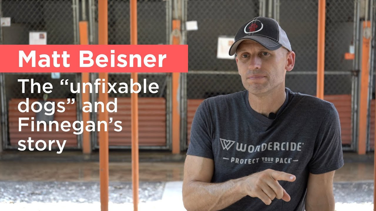 Press & Praise THE ZEN DOG Training