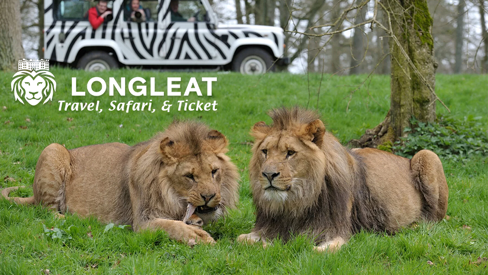 SOLD OUT Longleat Safari Park - Travel, Ticket & Drive-Thru Safari