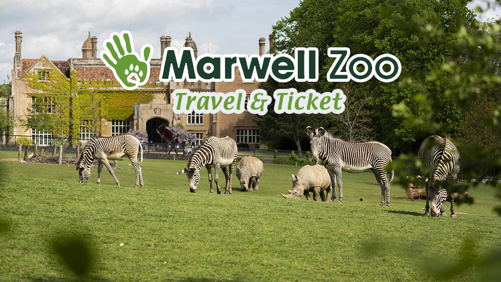 SOLD OUT Marwell Zoo - Travel & Ticket