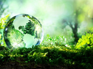 Legal | Zoom on the European Green Taxonomy and how it impacts your supply chain