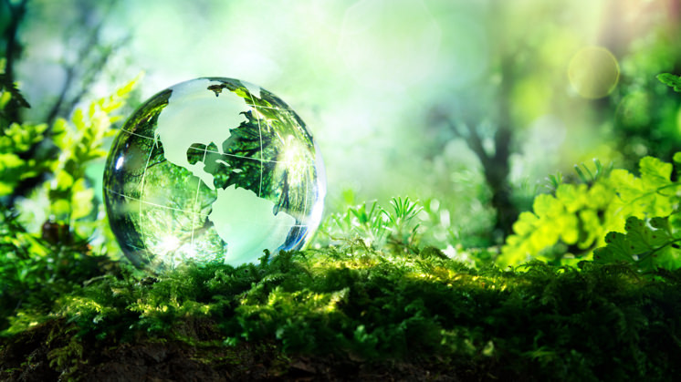 The European Green Taxonomy and how it impacts your supply chains
