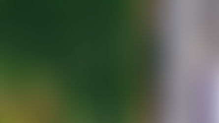 Les réglementations appellent à la traçabilité contre le greenwashing