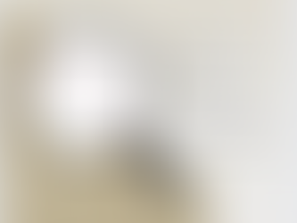 Illustration d'un processus de traçabilité au niveau des lots