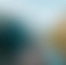 The Value of Customer Service at Tilkal: Guiding Your Traceability Journey Every Step of the Way