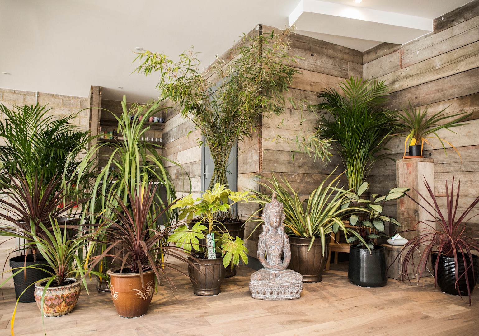 BGA Architects — HEALTH & WELLBEING