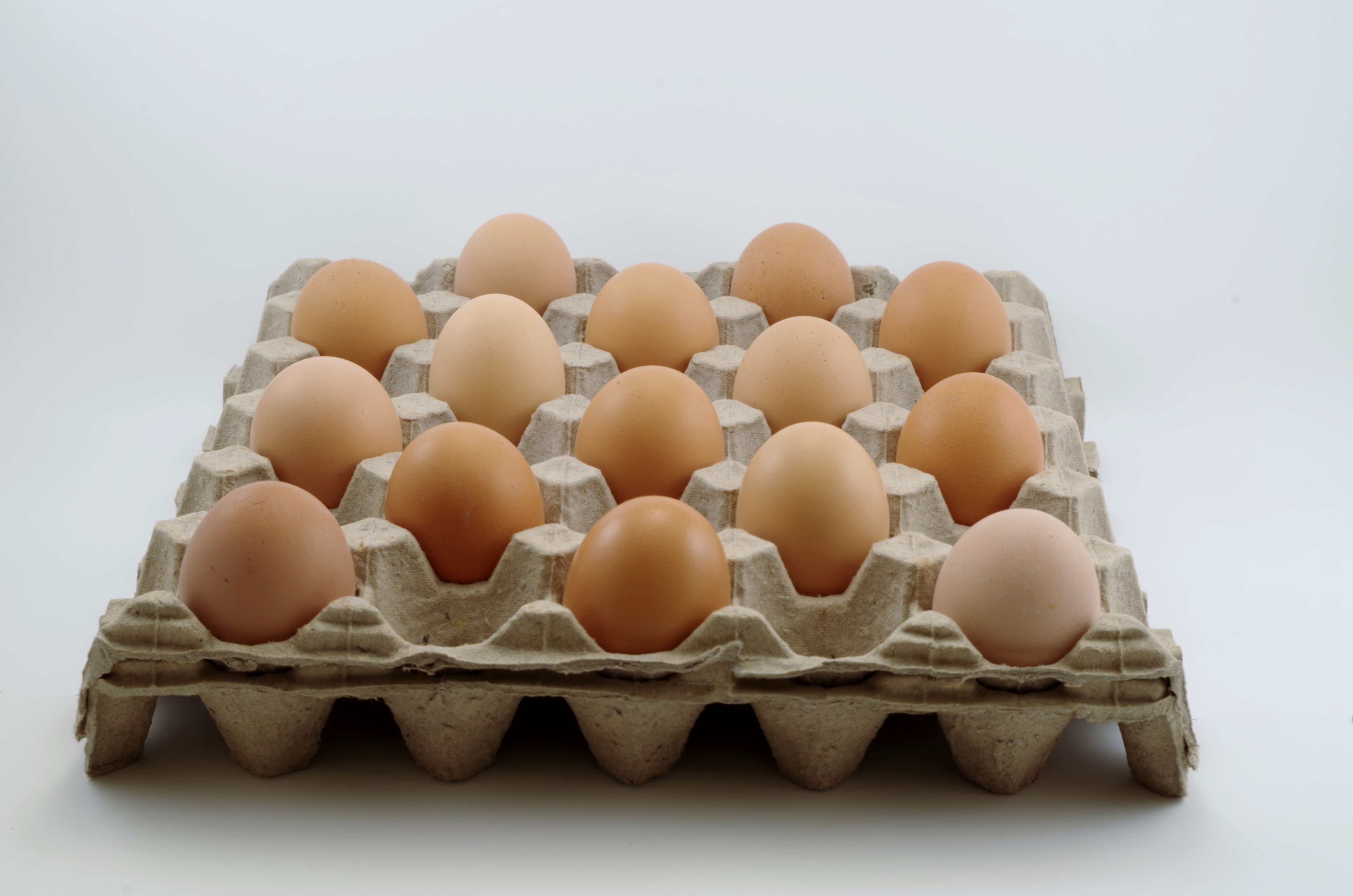 Huevo Fresco de Libre Pastoreo, 15 piezas