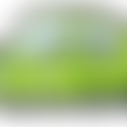 スタッフM.Tのつぶやき①