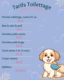 petits chiens (1).png
